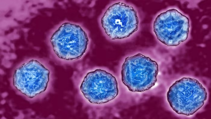 Phat hien virus bai liet trong nuoc thai, Anh tuyen bo su co quoc gia hinh anh