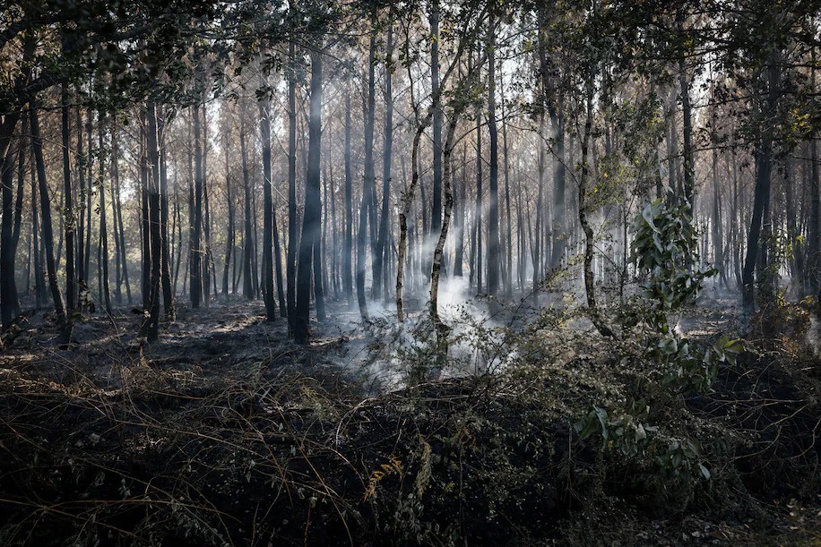 song nhiet o chau Au anh 4