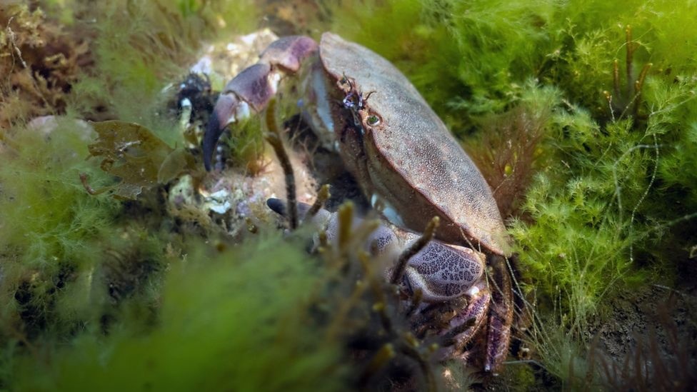 song nhiet o Anh anh 1