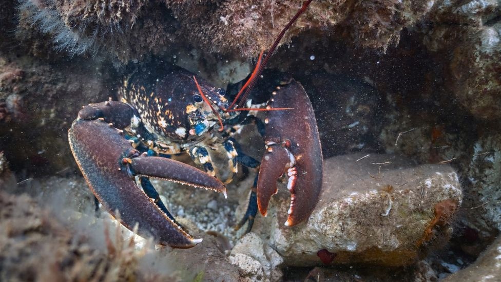 song nhiet o Anh anh 5