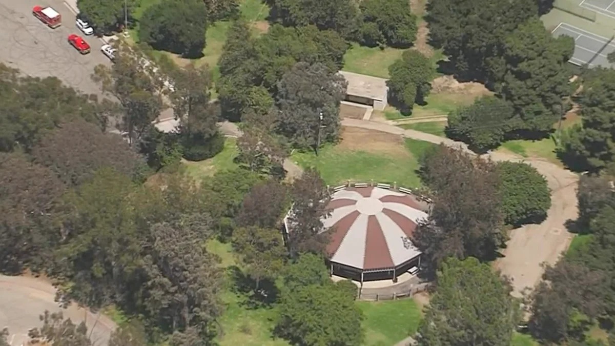 Phat hien thi the chay treo tren cay trong cong vien hinh anh