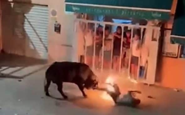 Nguoi dan ong bi huc toi chet trong le hoi 'dot bo' o Tay Ban Nha hinh anh