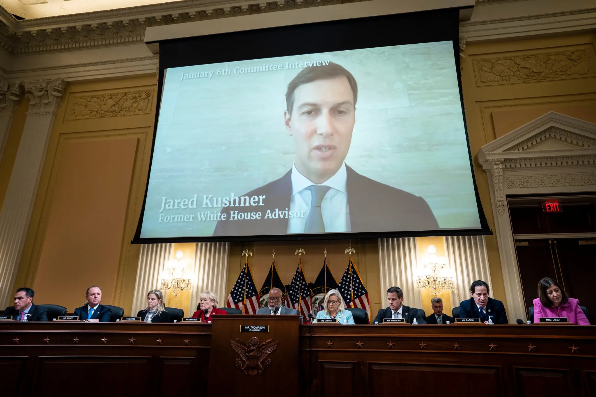 con re ong Trump anh 2