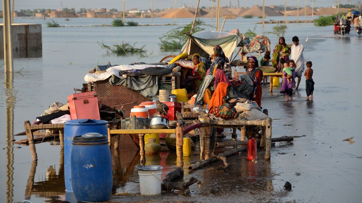 'Cu dam kep' cua me thien nhien hinh anh