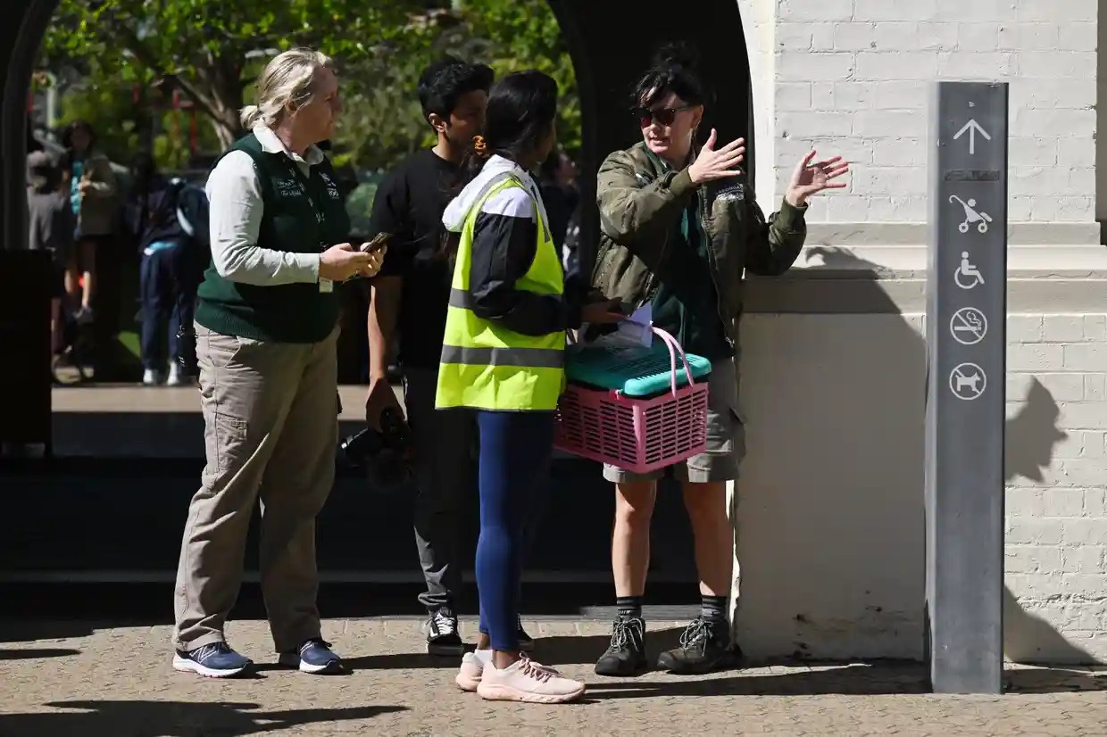 su tu xong chuong anh 1