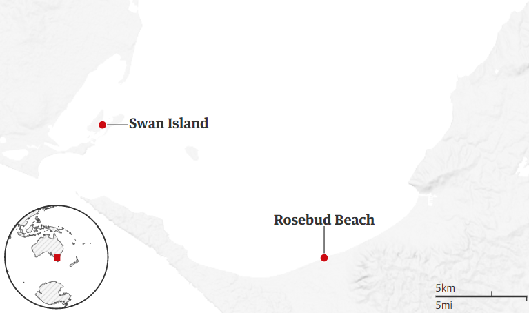 phep mau Giang sinh anh 1