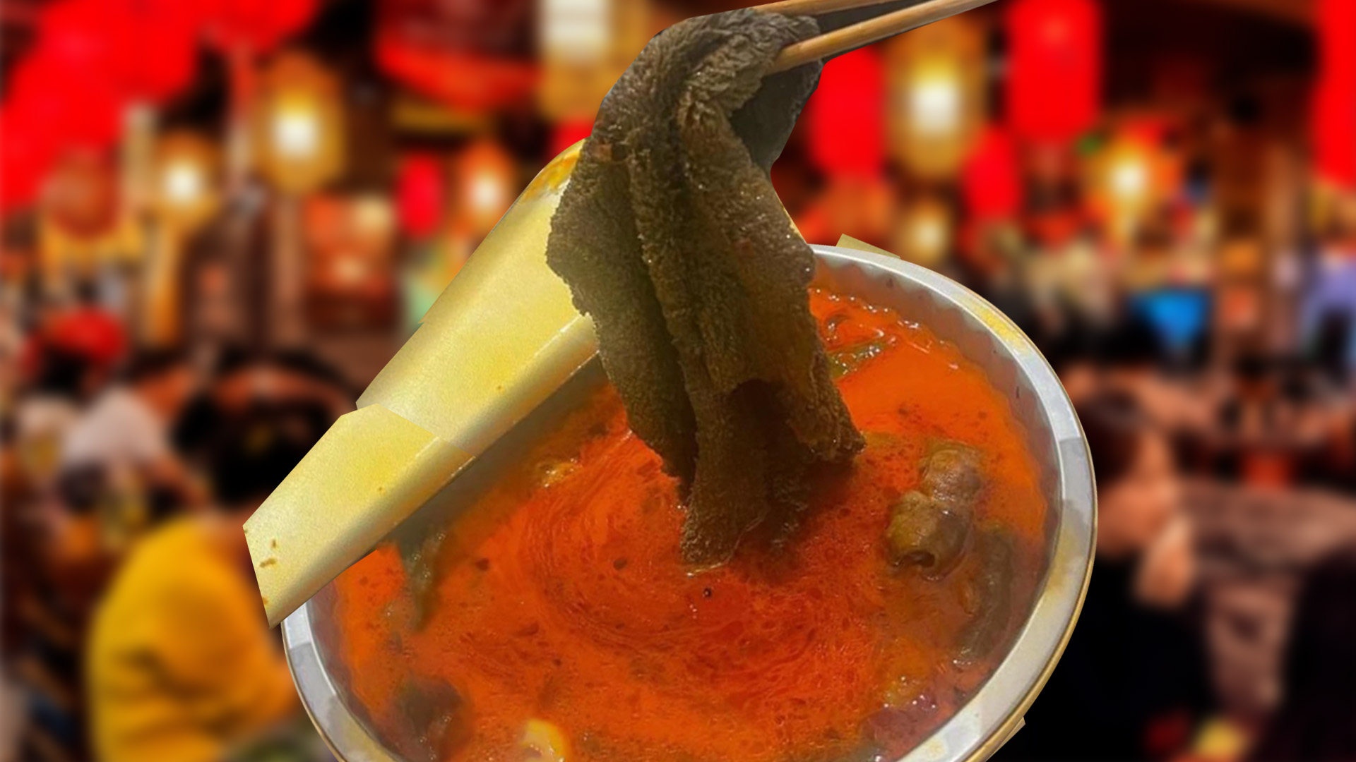 Phat hien gie rua bat trong noi lau Tu Xuyen hinh anh