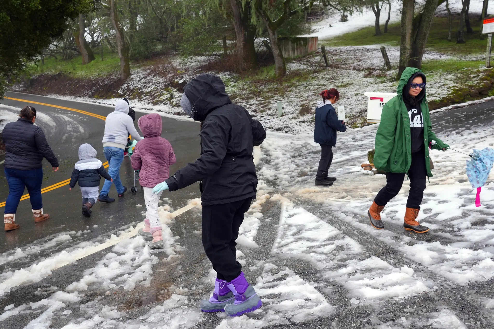 bao tuyet California anh 2