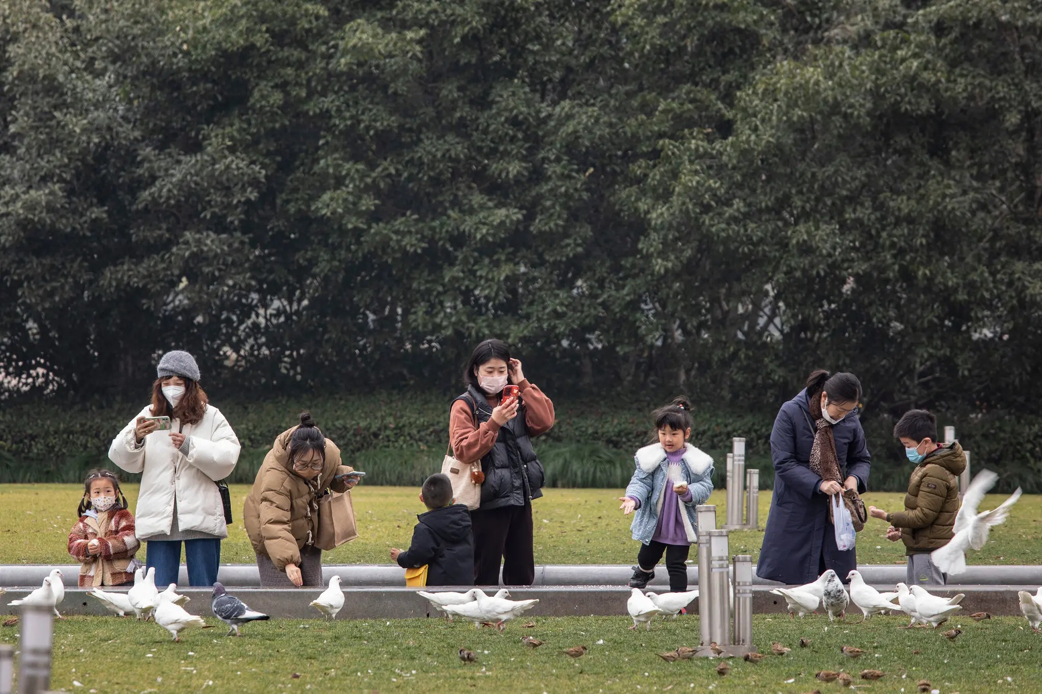 ty le sinh thap anh 2