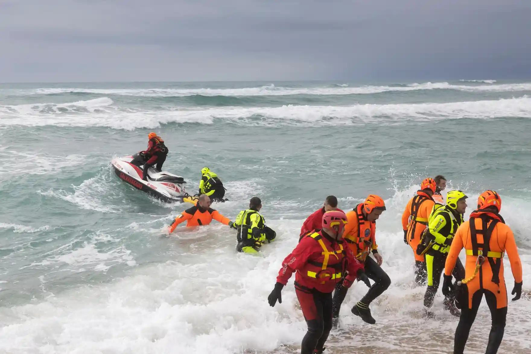 chim tau di cu anh 3