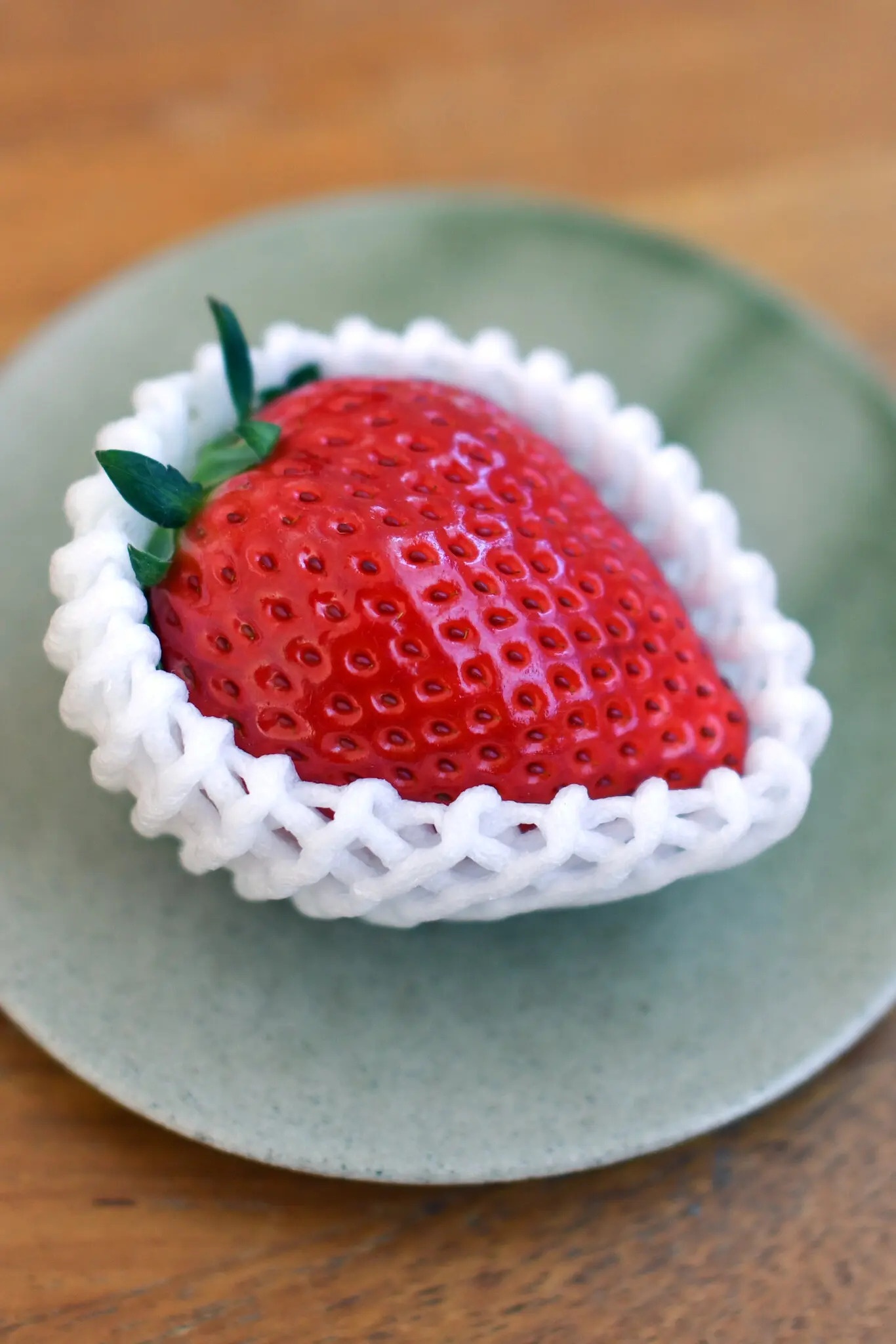 dau tay Nhat Ban anh 1