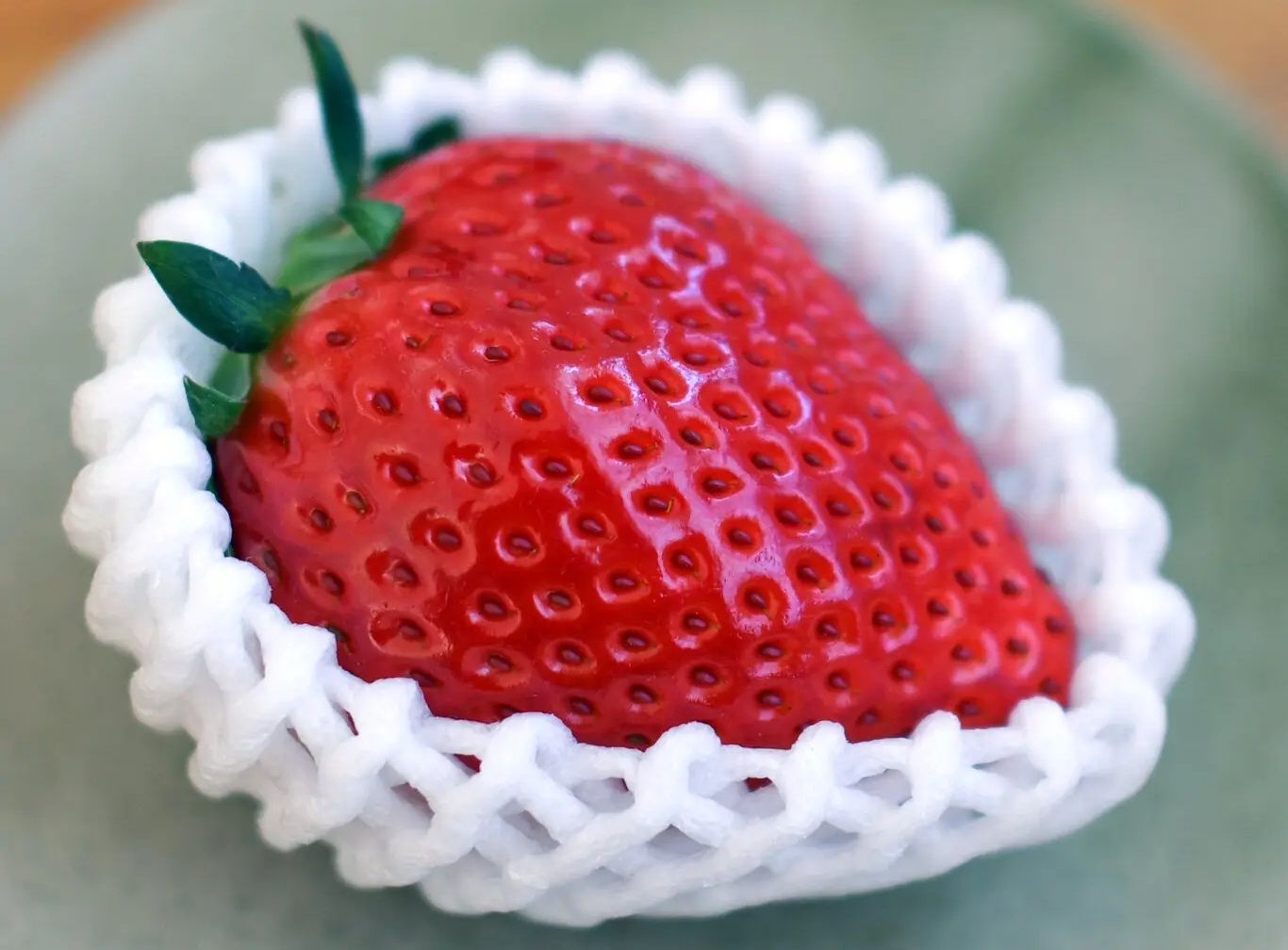 Bi mat phia sau loai dau tay gia 3 trieu dong/qua hinh anh