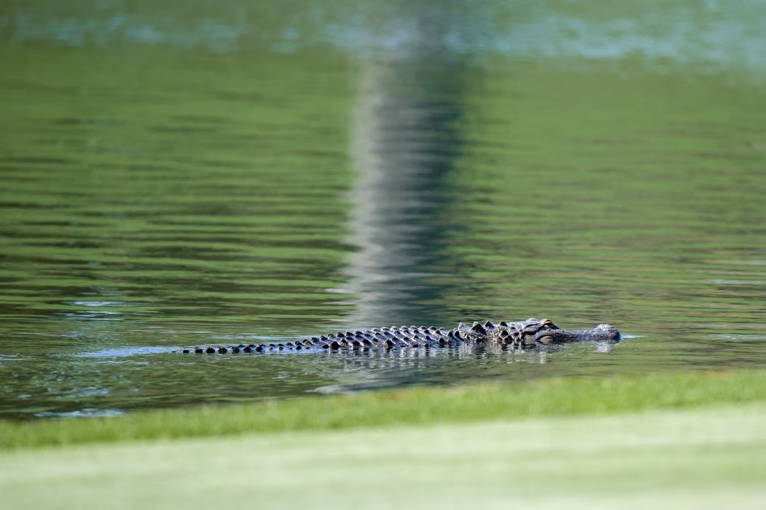 Tim thay thi the be 2 tuoi trong ham ca sau o My hinh anh