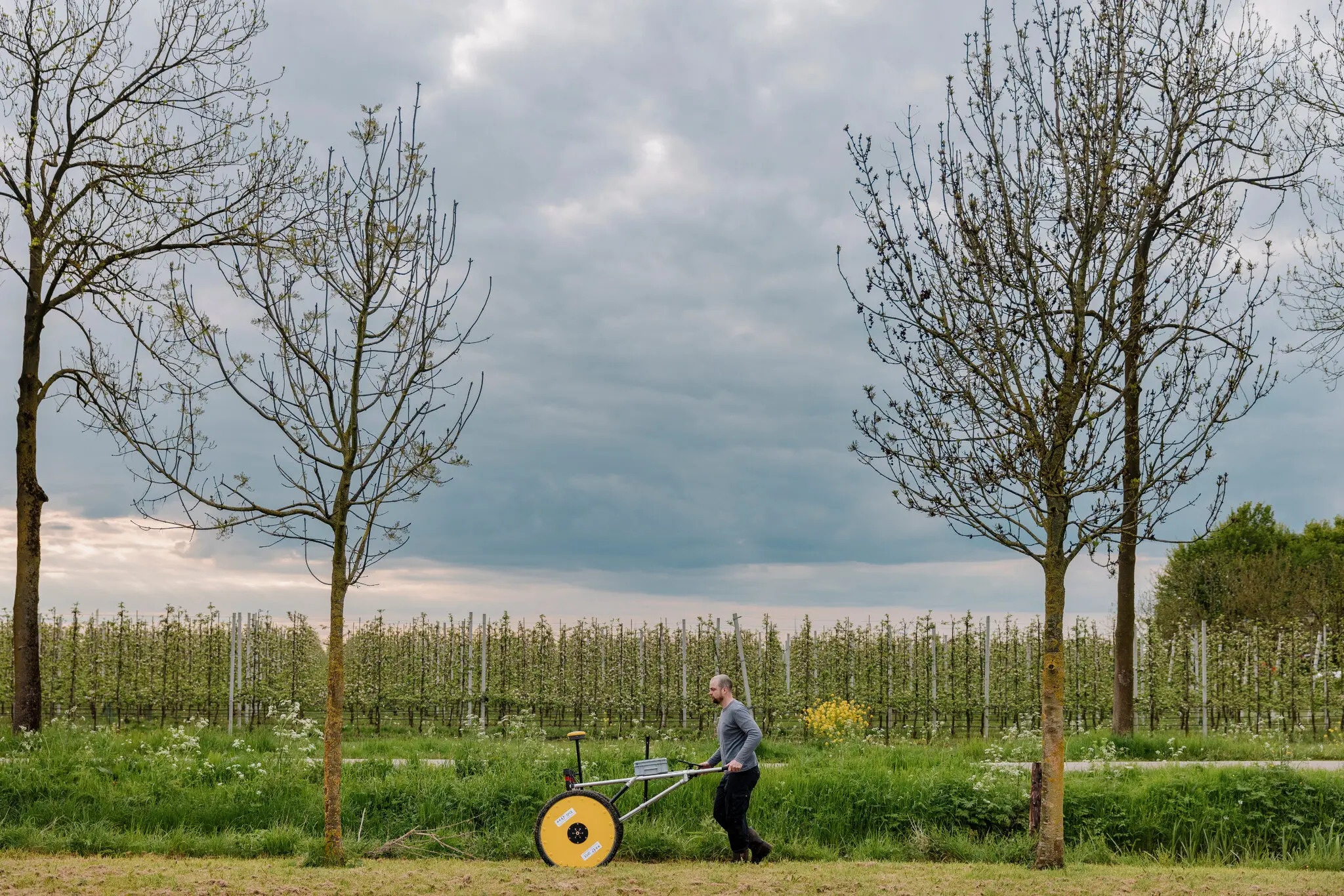 truy tim kho bau anh 2