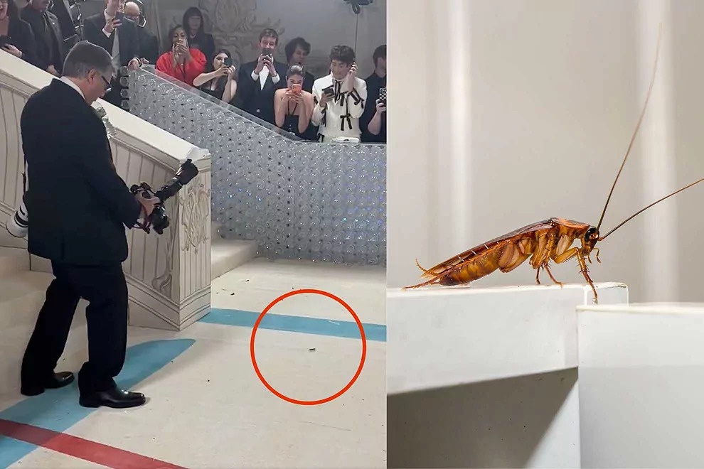 Con gian gay chu y tren tham do Met Gala 2023 hinh anh