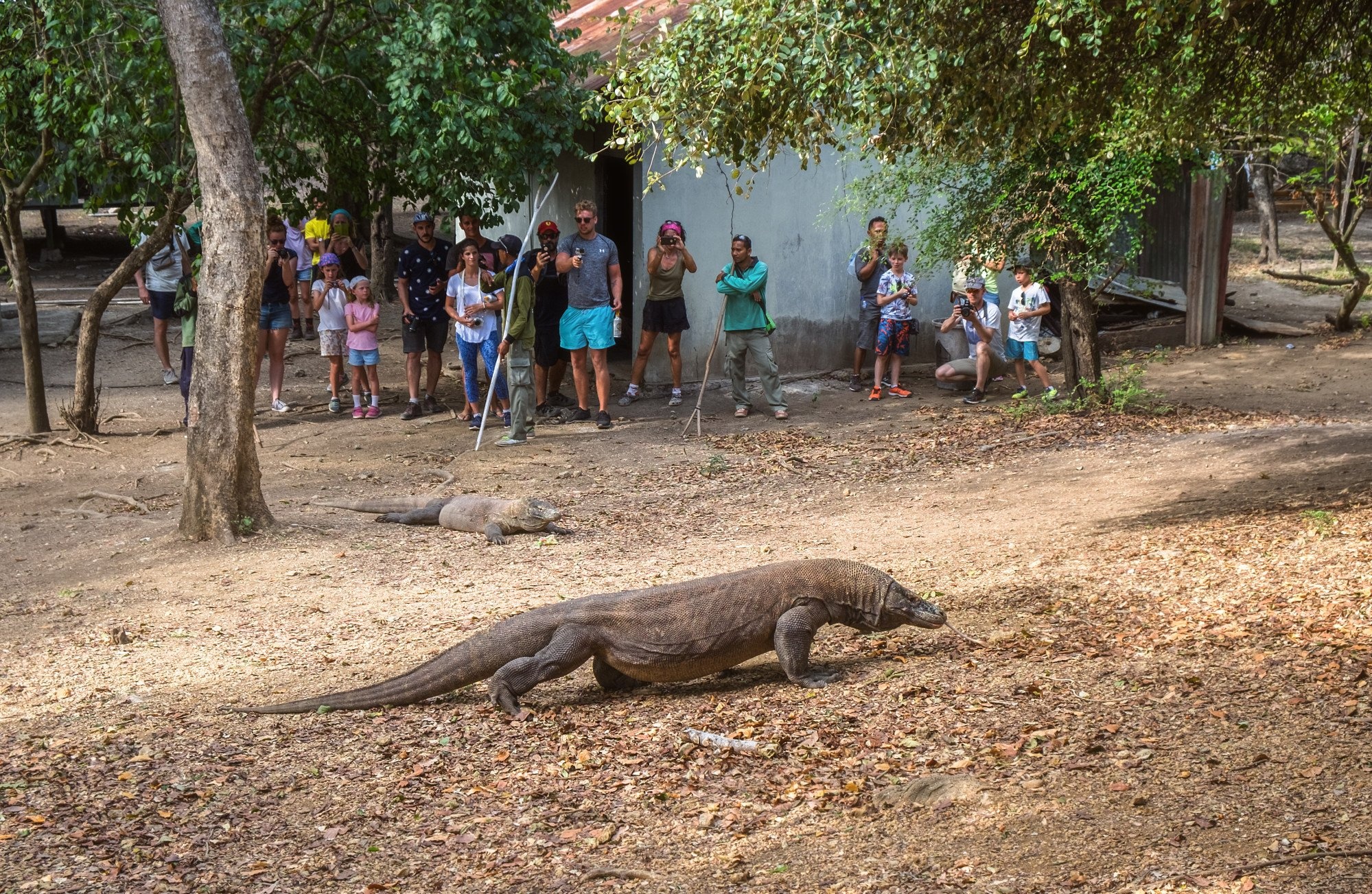 du lich Indonesia anh 1