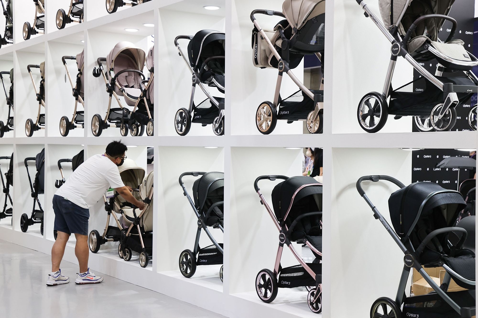 Chau A chi lon de dao nguoc ty le sinh hinh anh