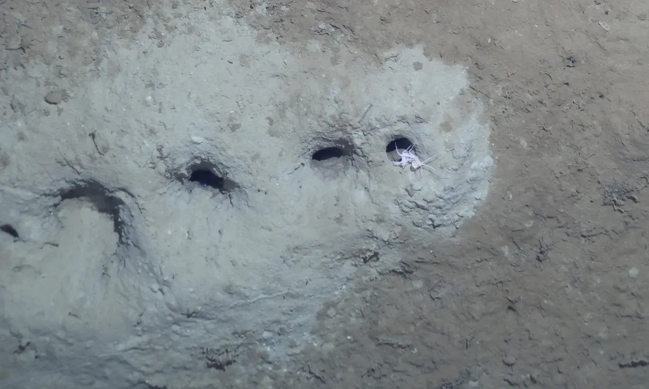 day lo day bien anh 1