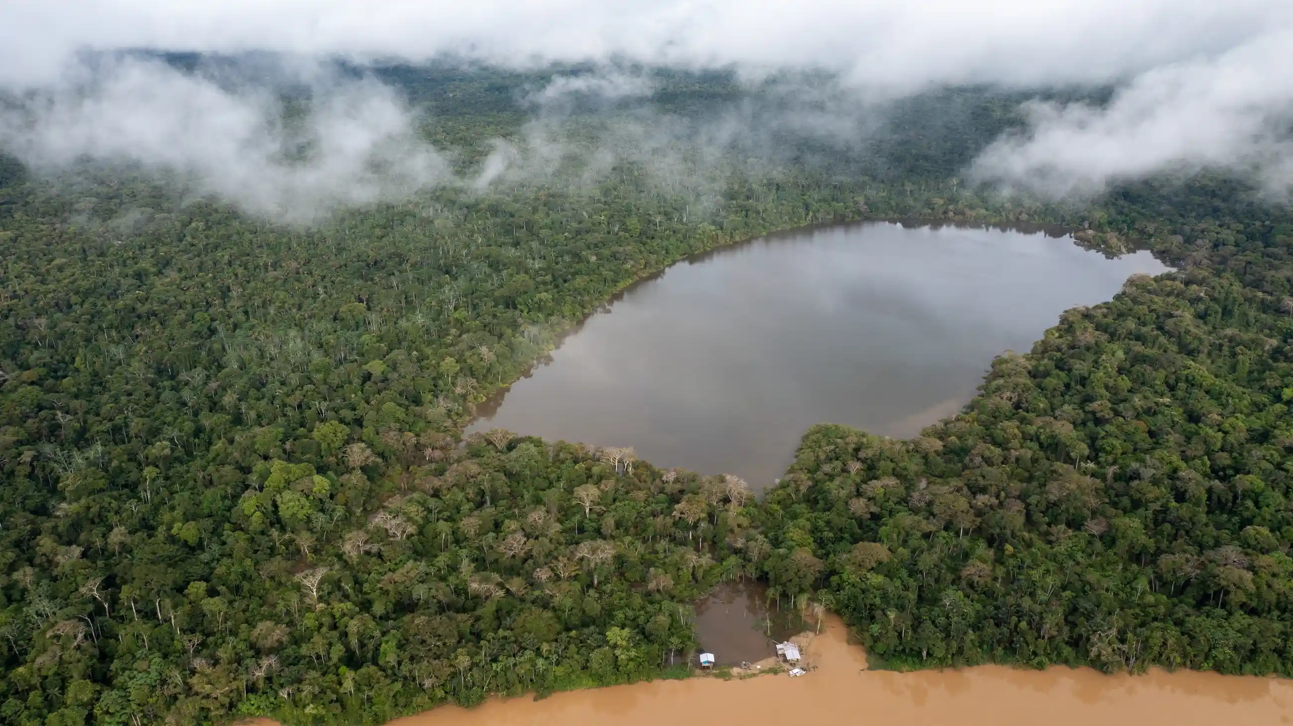 sat hai o rung Amazon anh 1