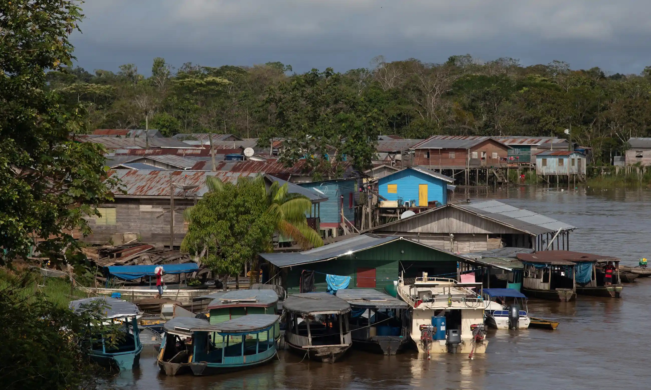 Tam diem chu y trong vu an gay chan dong tai rung Amazon hinh anh