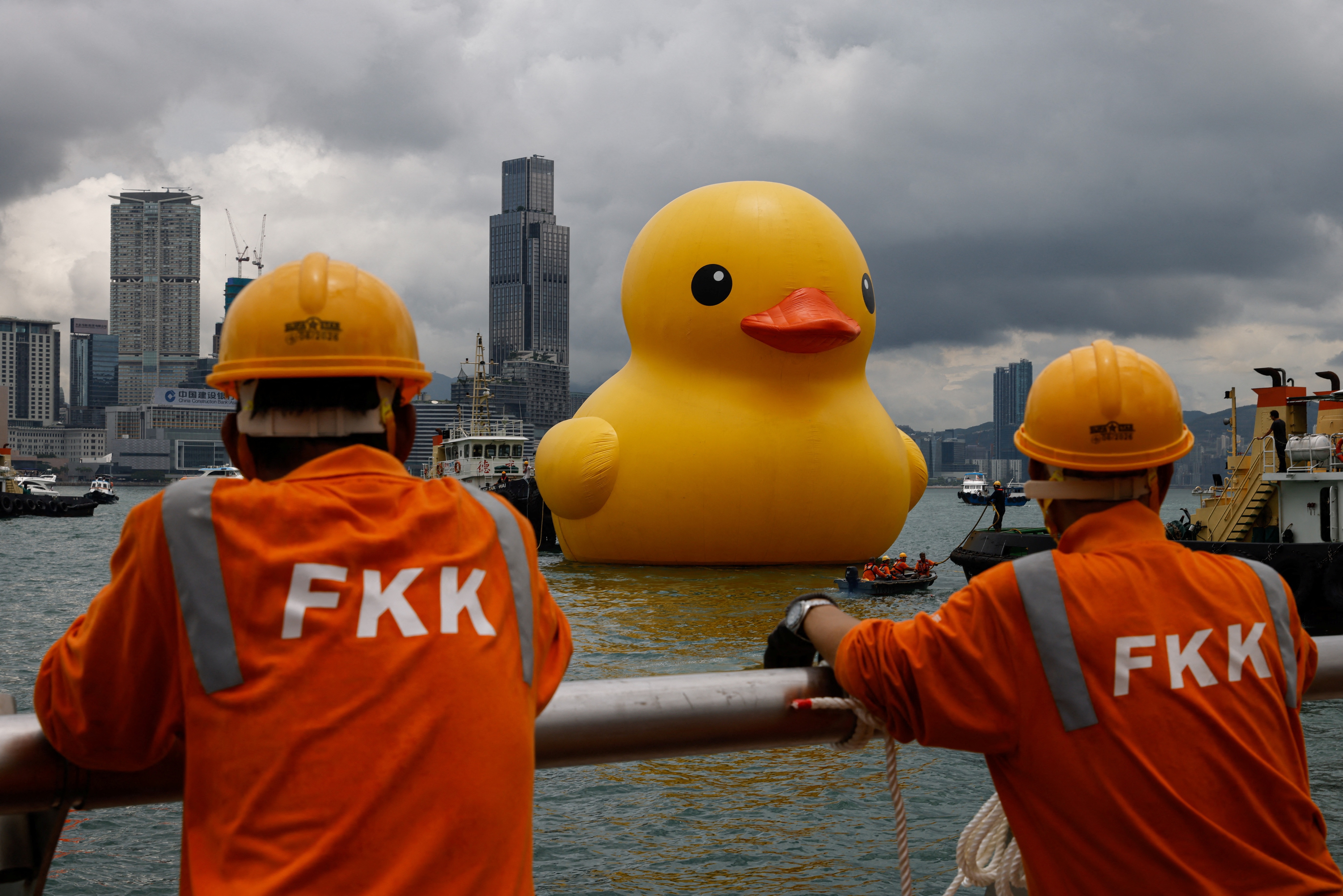 vit vang khong lo anh 9