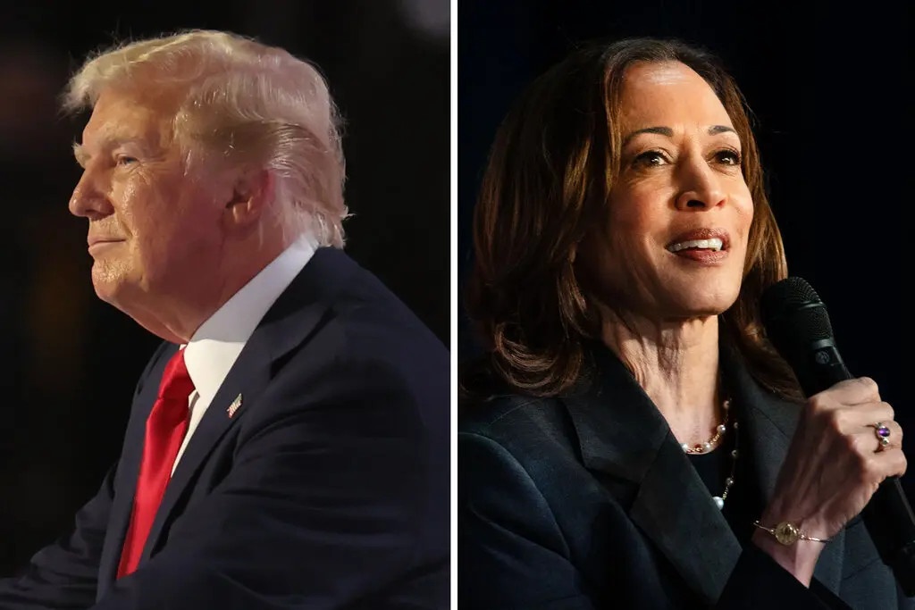 Con duong nao cho ba Kamala Harris danh bai ong Trump? hinh anh