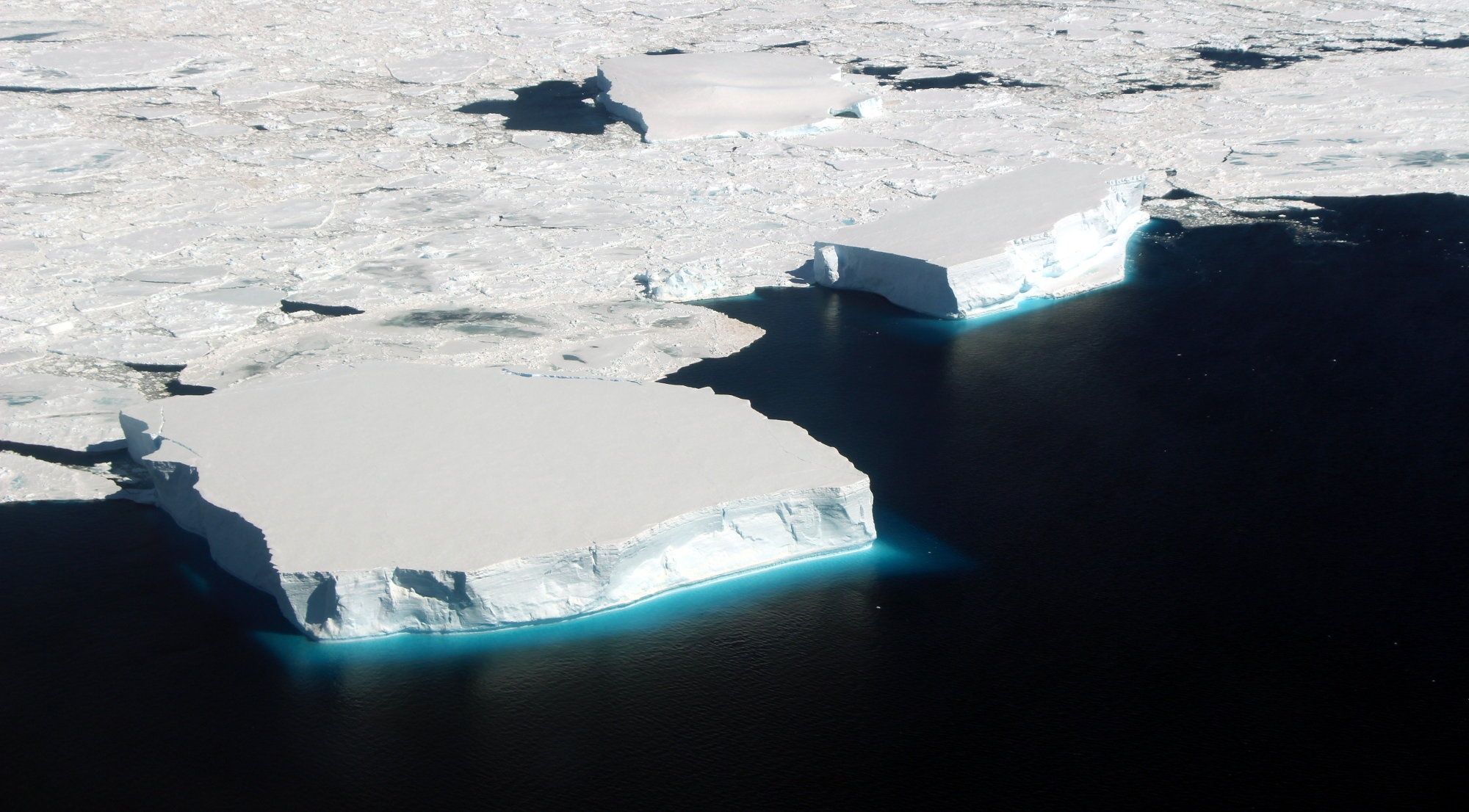 nam cuc nong len anh 1