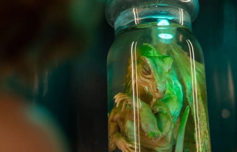 'Mau vat rong ngam’ tung lam nuoc Anh rung dong hinh anh