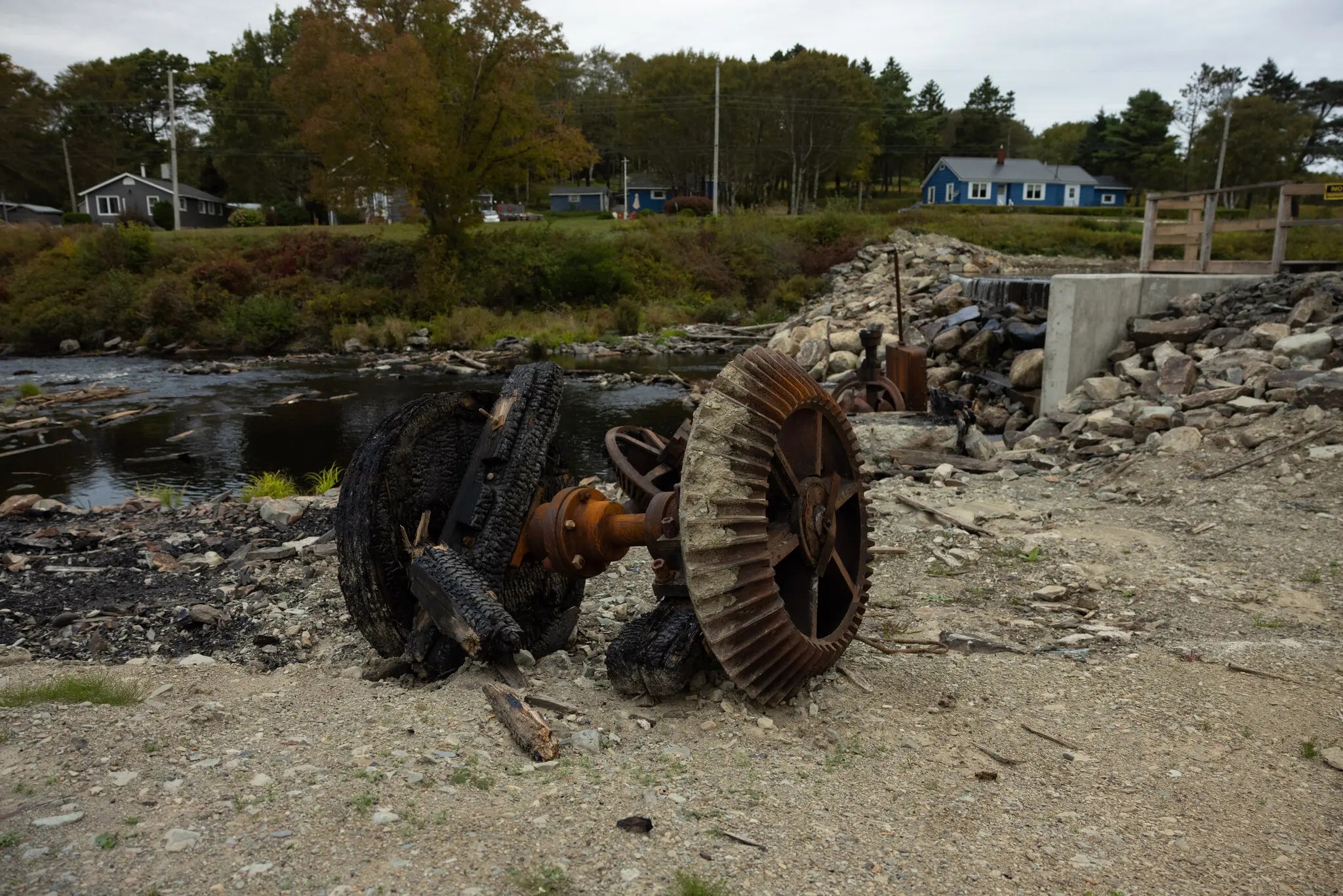 tom hum Canada anh 2