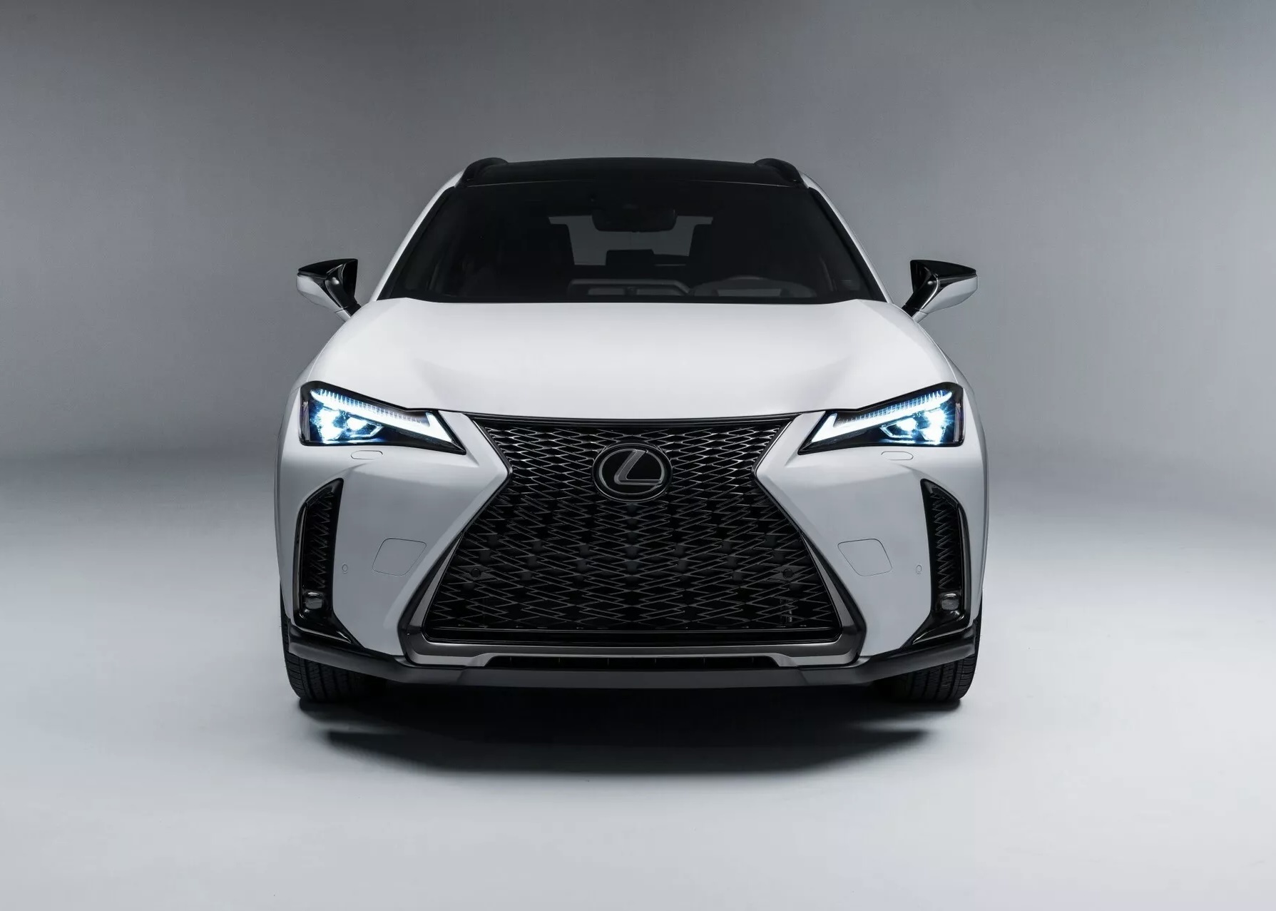 Lexus UX 2024 tang gia ban hinh anh