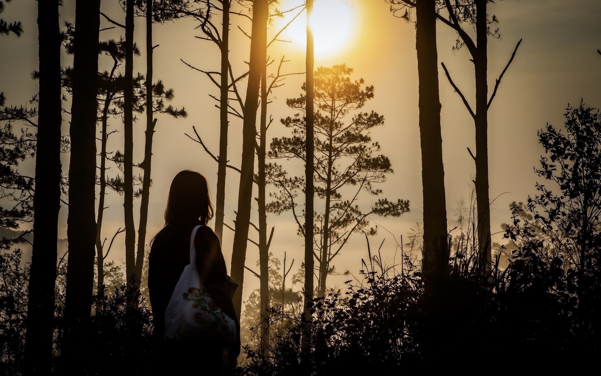 du lich Mang Den anh 1