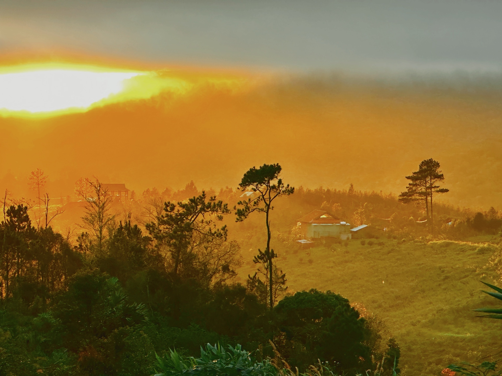 Homestay tai Mang Den het phong ca thang truoc le hinh anh