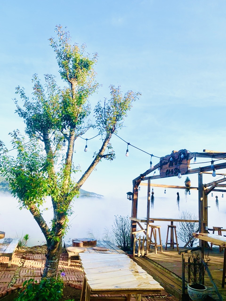 Du lich Mang Den anh 2