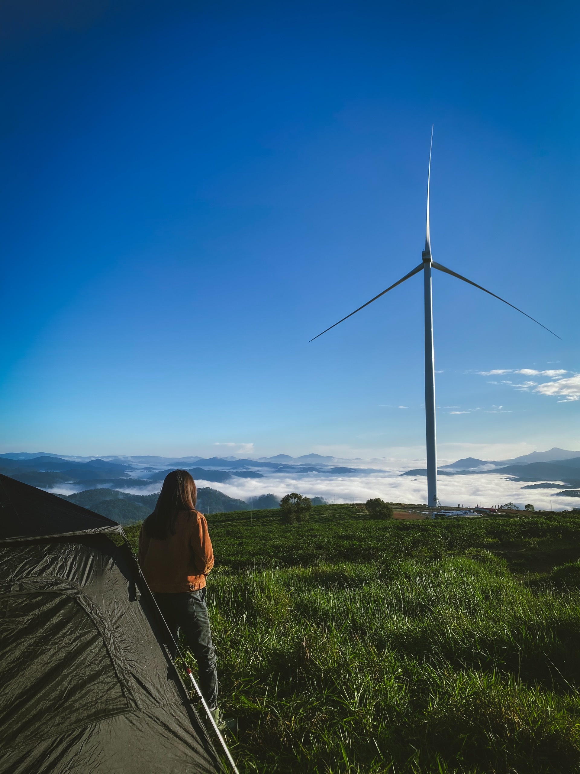 Cam trai duoi mua anh 3