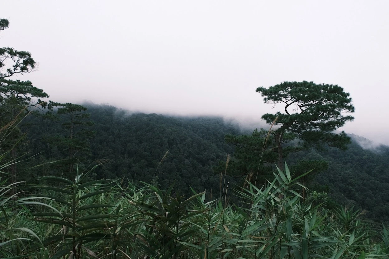 du lich Tay Nguyen anh 1