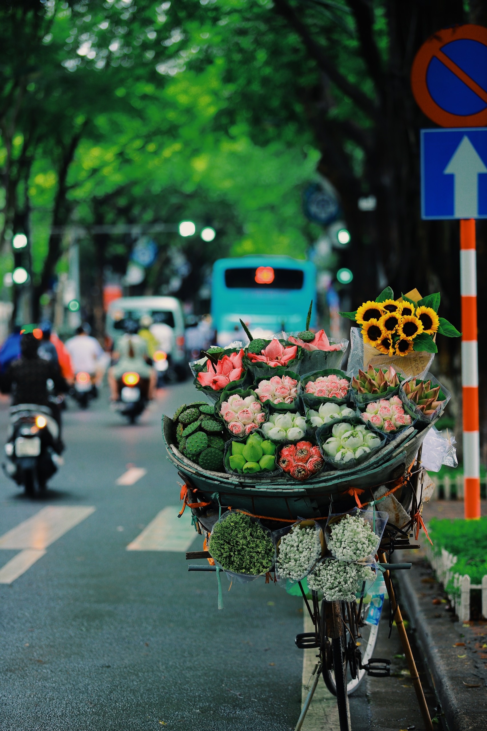 du lịch Hà Nội ảnh 7 du lich Ha Noi anh 7