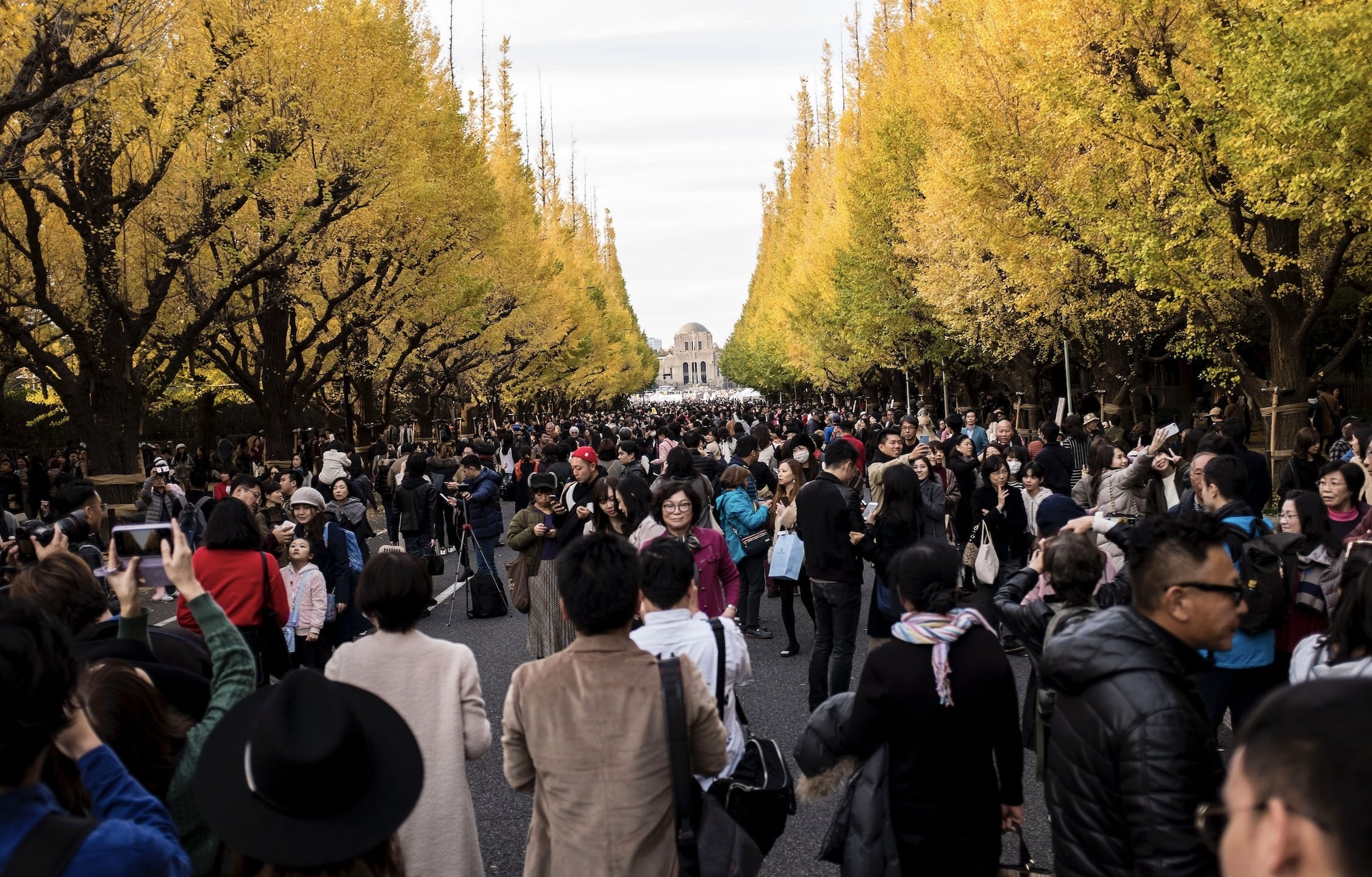 Tranh cai du an don 1.000 cay de xay khu thuong mai o Tokyo hinh anh
