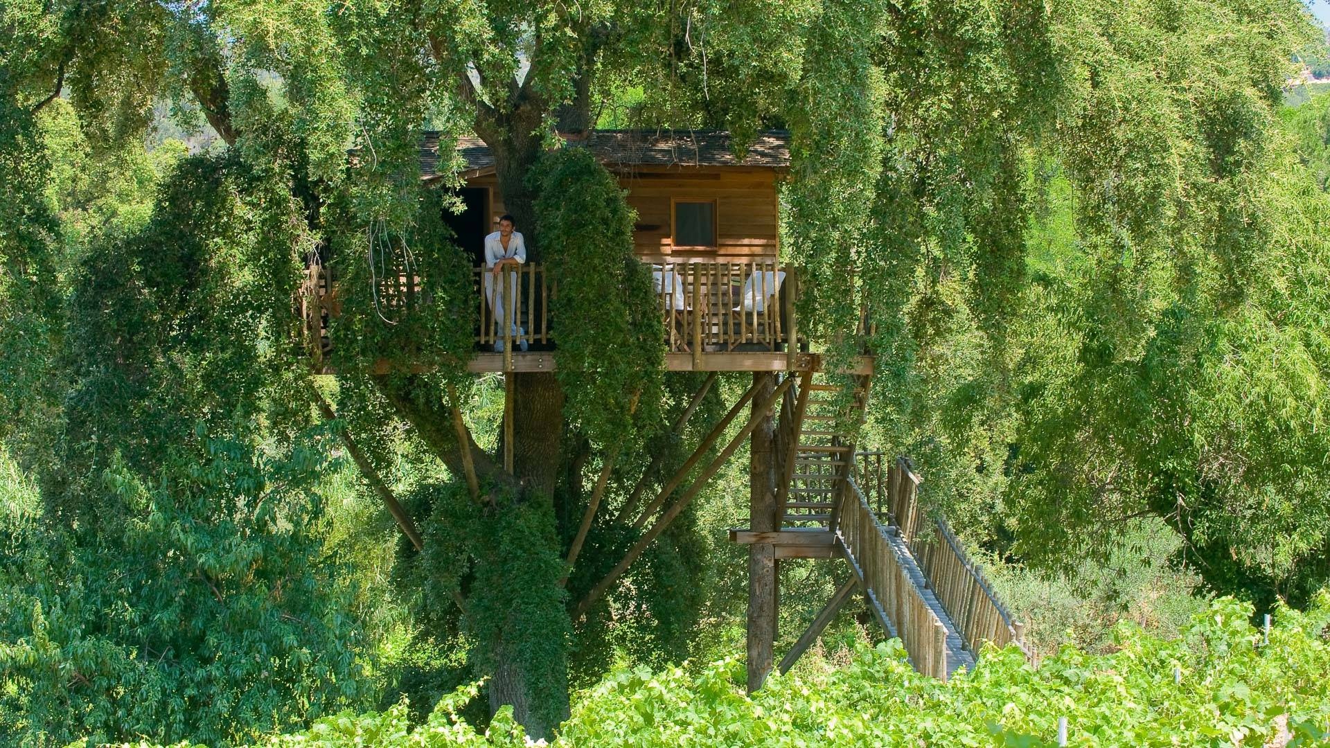 khach san lau dai Phap anh 2