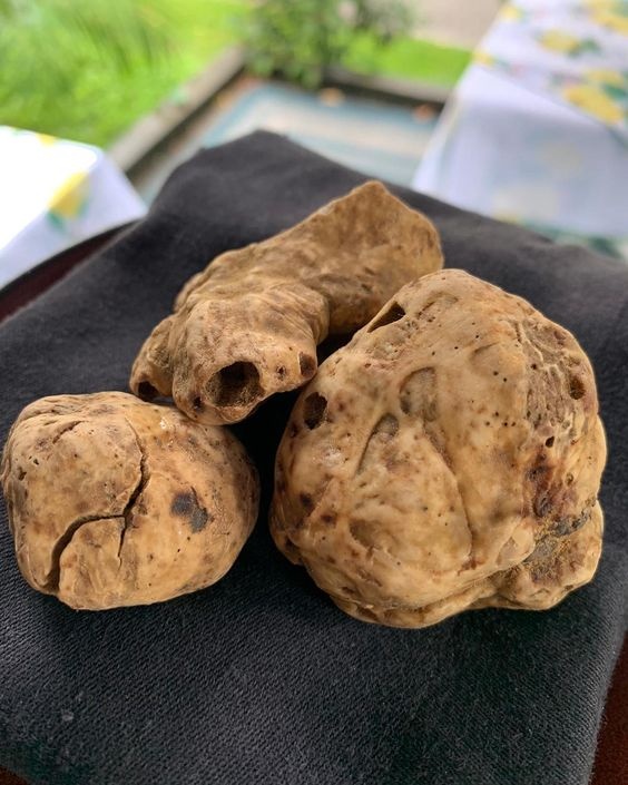 thuc pham dat nhat anh 2