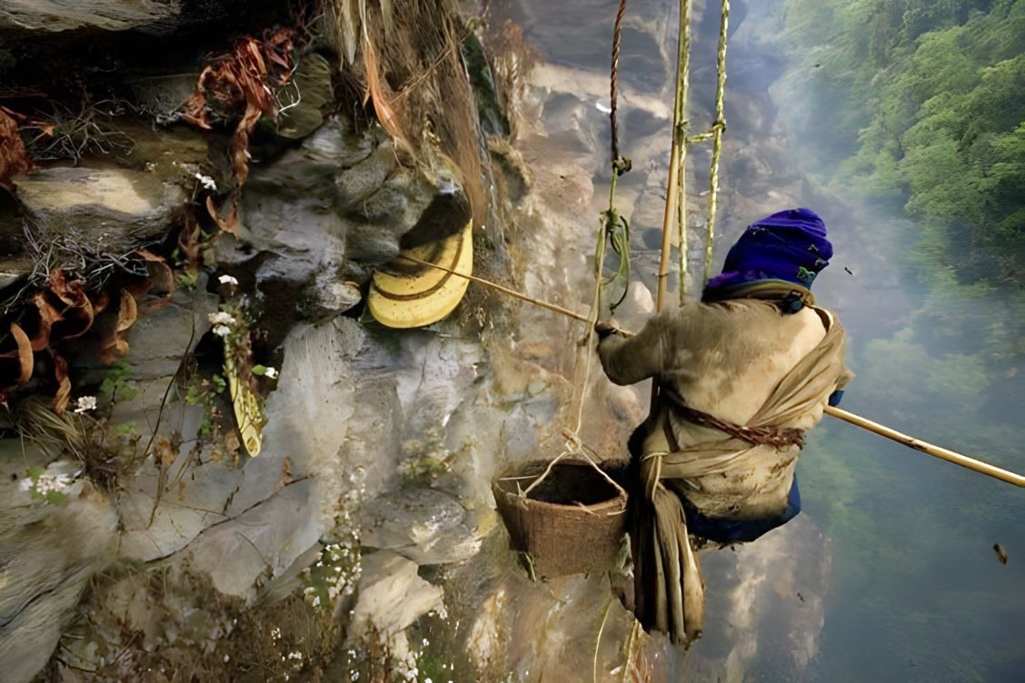 thuc pham dat nhat anh 7