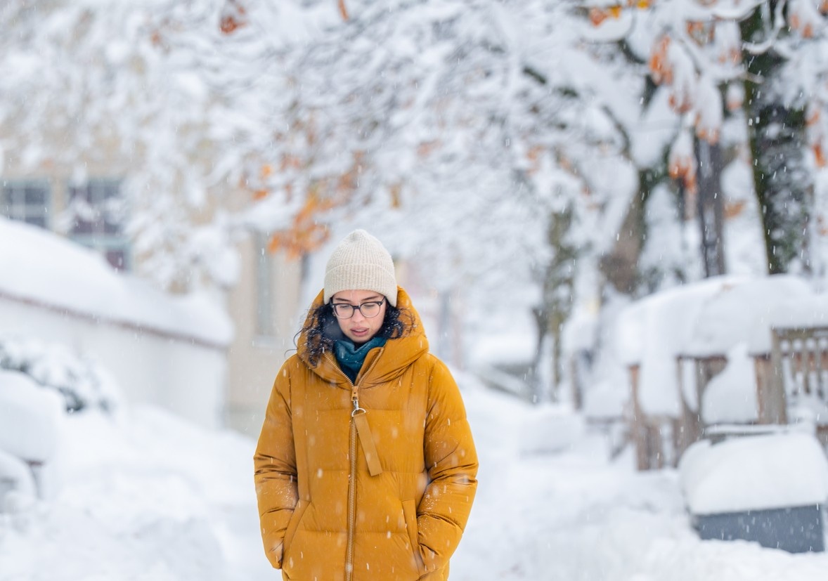 Du khach Viet roi vao tinh huong eo le o Duc hinh anh