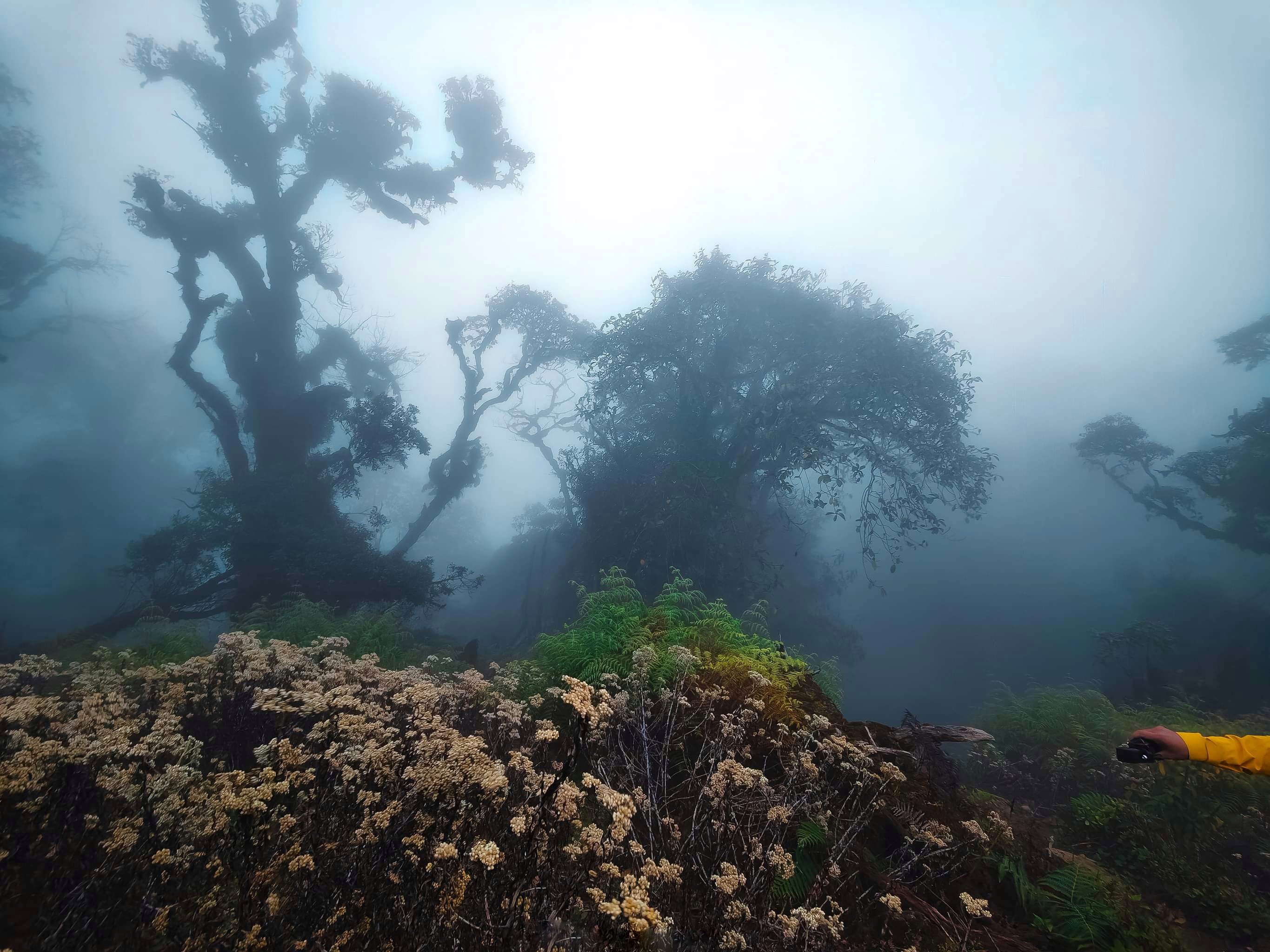 du lich ben vung anh 2