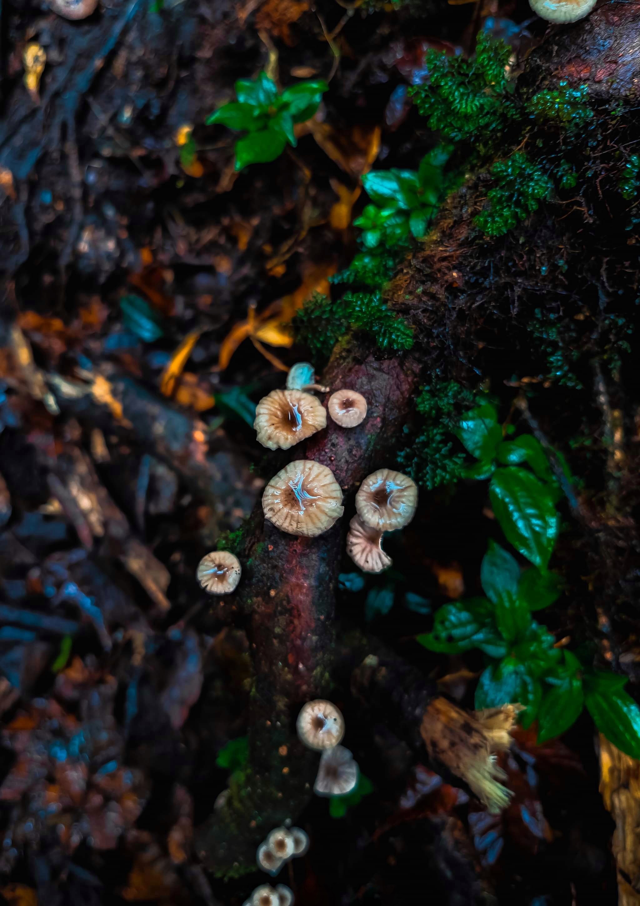 du lich ben vung anh 16