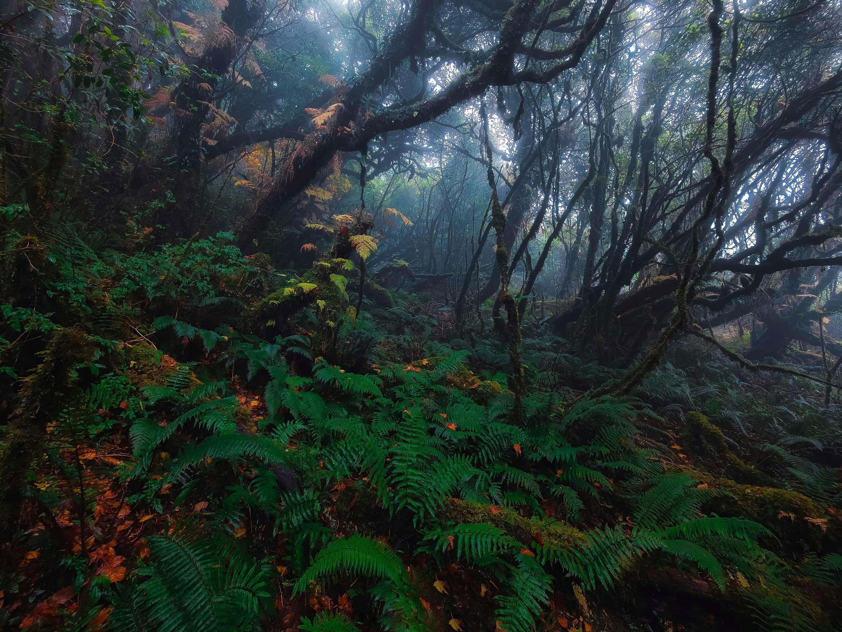 du lich ben vung anh 20