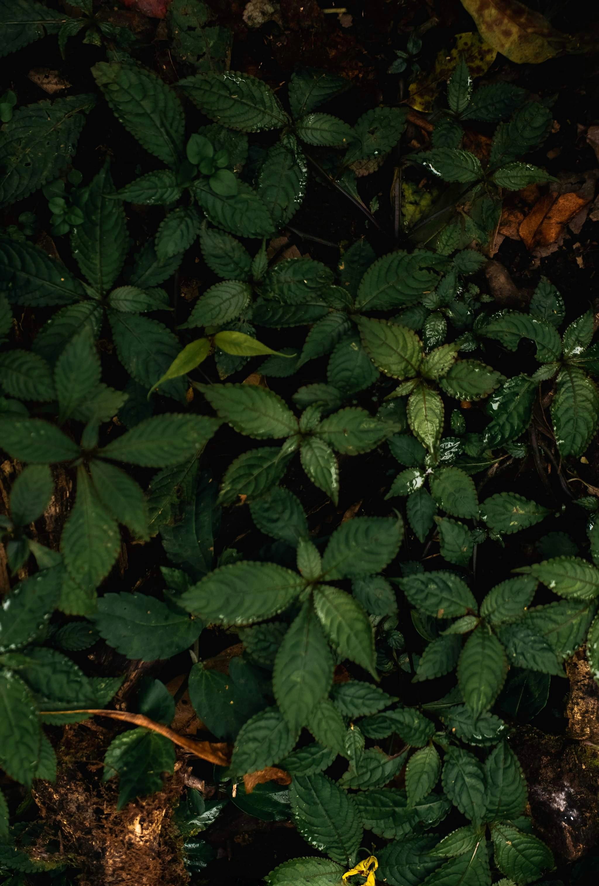 du lich ben vung anh 13