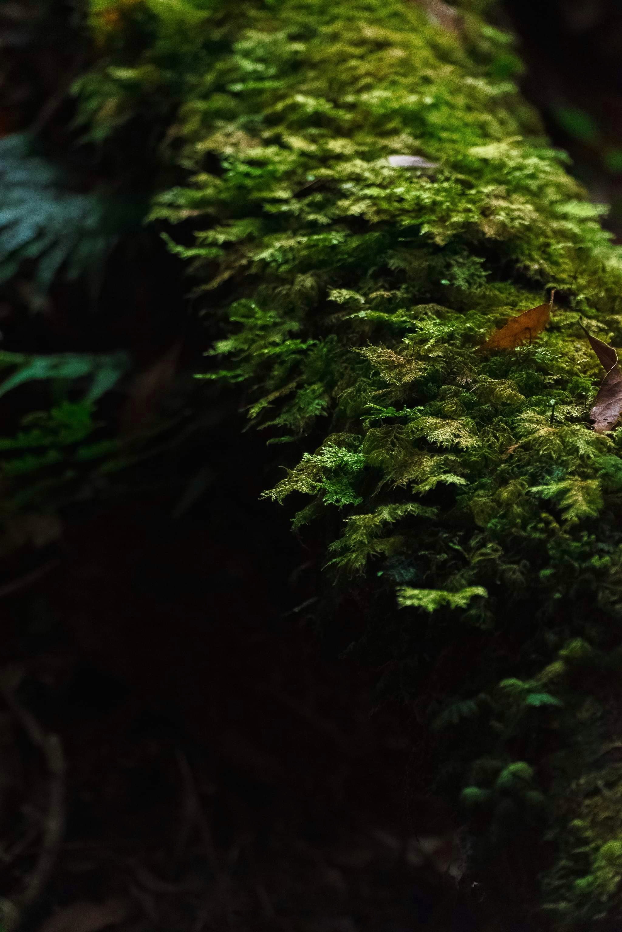 du lich ben vung anh 9