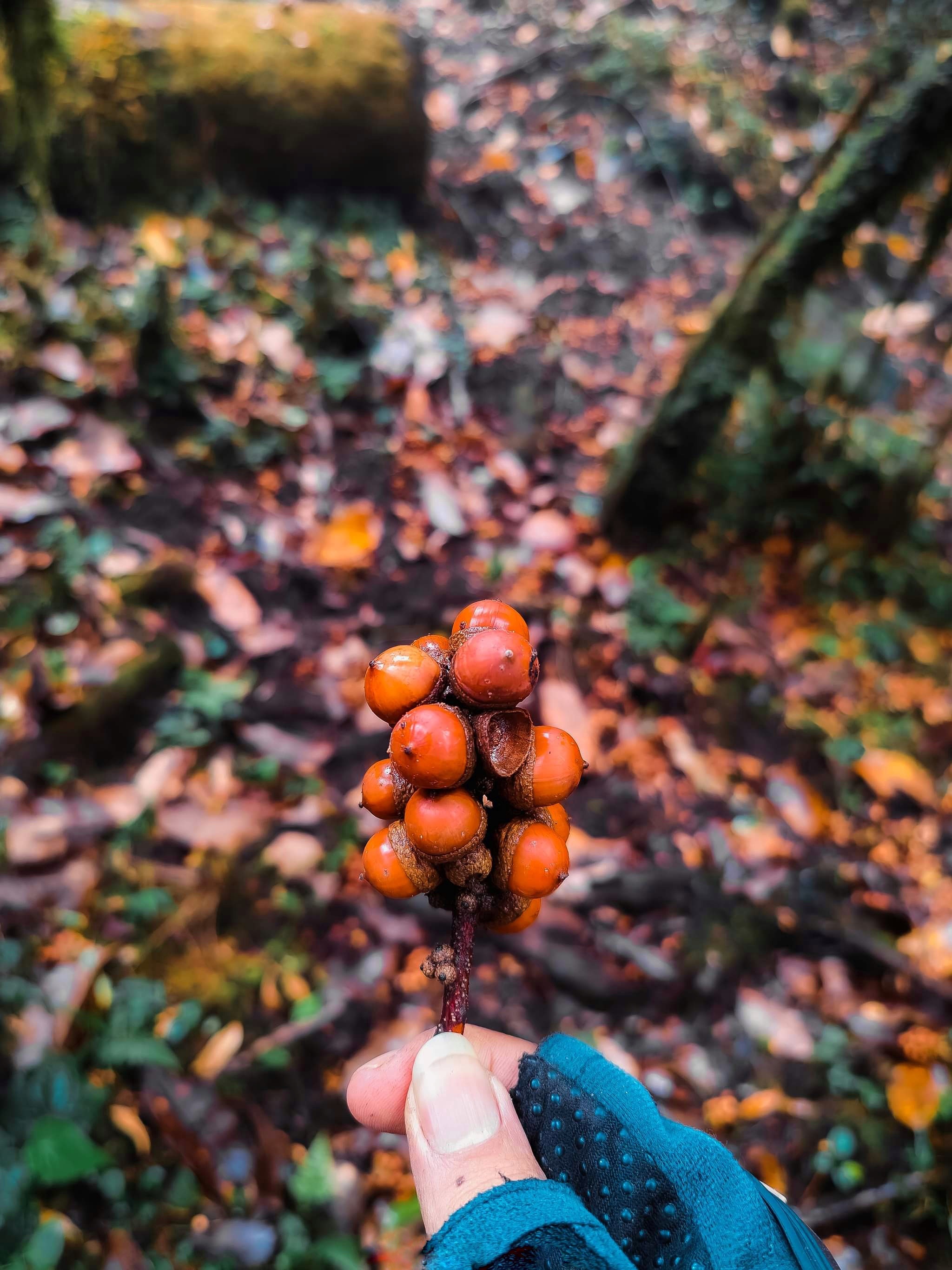 du lich ben vung anh 19