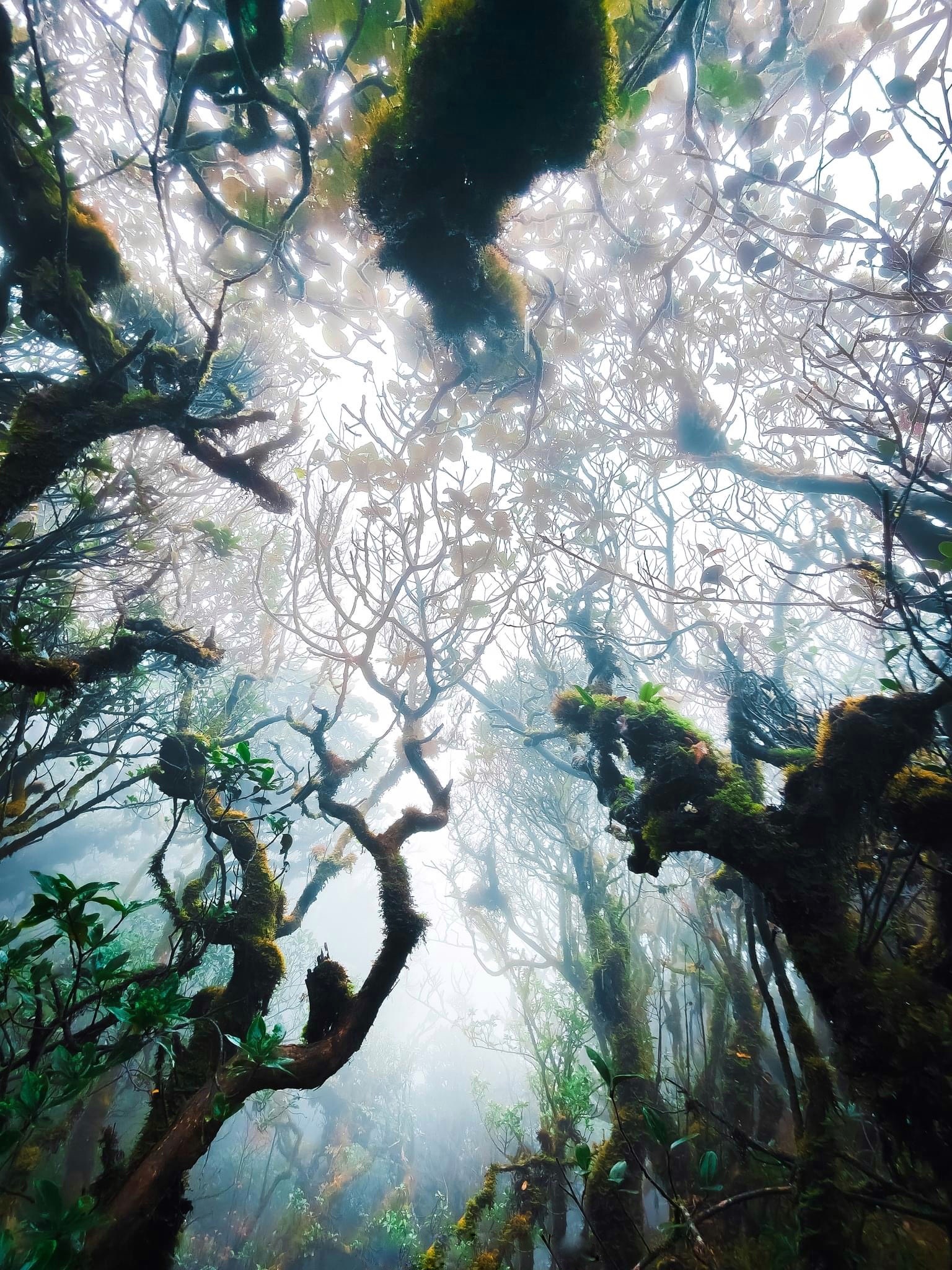 du lich ben vung anh 4