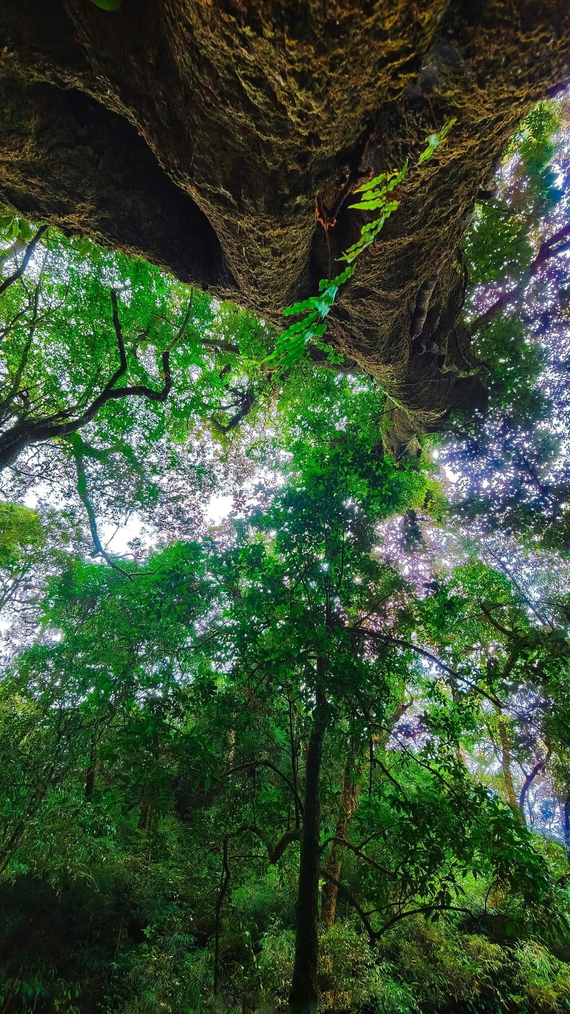 du lich ben vung anh 5