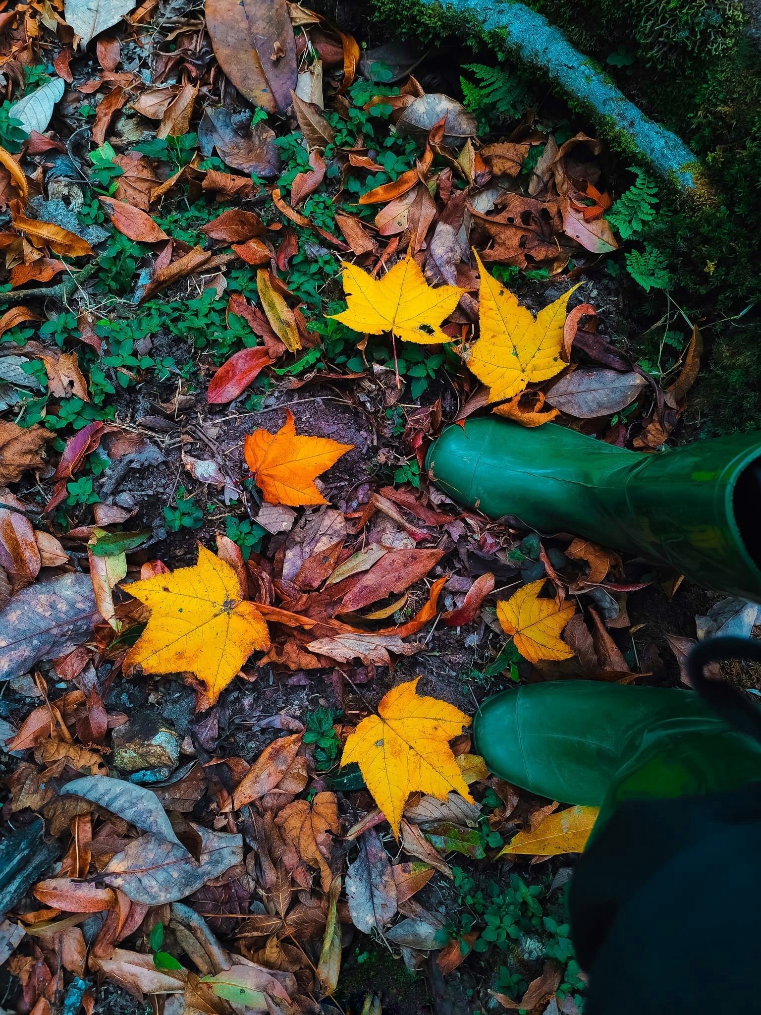 du lich ben vung anh 18